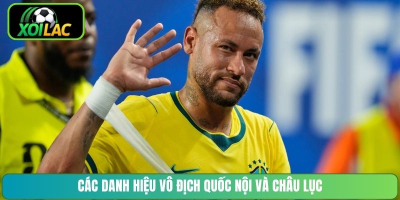 Các danh hiệu vô địch quốc nội và châu lục