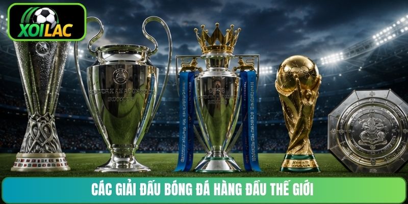 Các giải đấu bóng đá hàng đầu thế giới