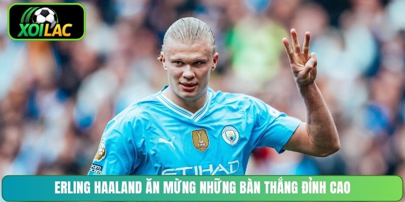 Erling Haaland ăn mừng những bàn thắng đỉnh cao
