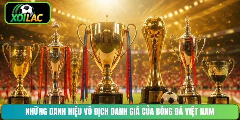 Những danh hiệu vô địch danh giá của bóng đá Việt Nam