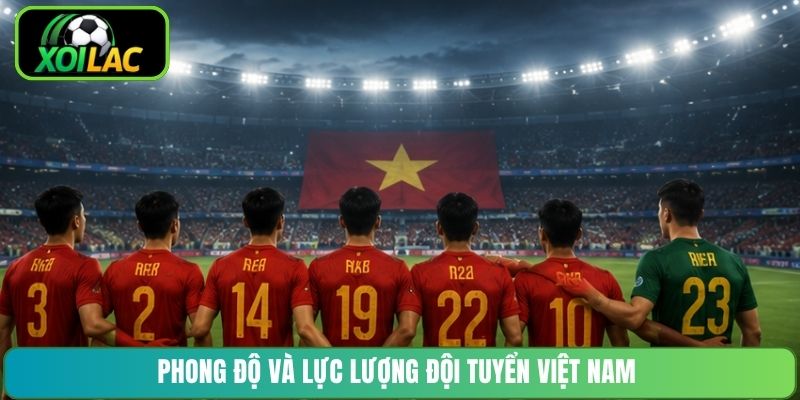 Phong độ và lực lượng đội tuyển Việt Nam