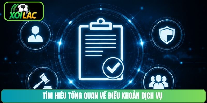 Tìm hiểu tổng quan về điều khoản dịch vụ