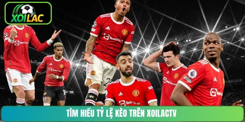 Tìm hiểu tỷ lệ kèo trên XoilacTV
